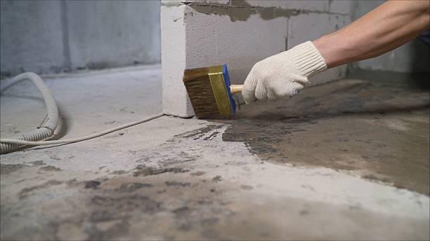 SJ Waterproofing Pros Crawl Space Encapsulation coverage map for Magnolia, NC and surrounding area